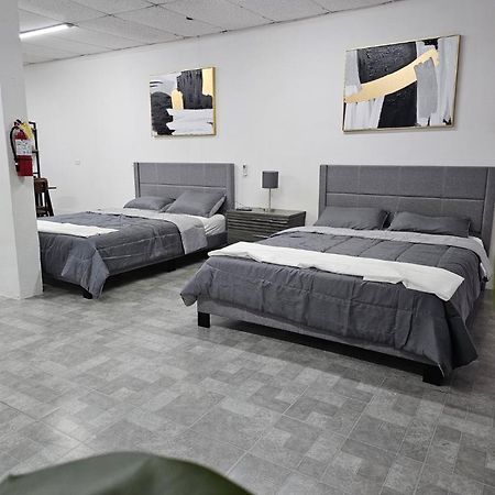 Salmos 23 Acogedor Apartamento Estudio Ceiba Eksteriør billede