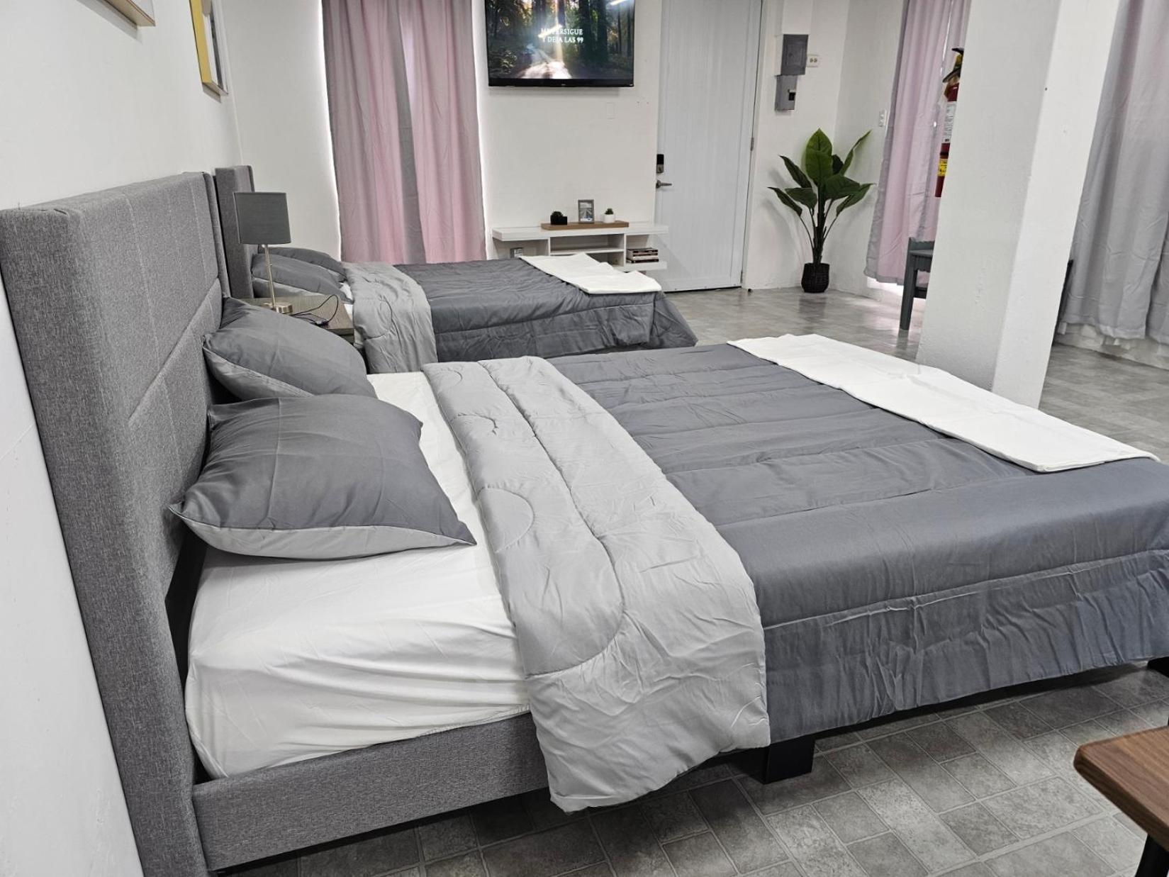 Salmos 23 Acogedor Apartamento Estudio Ceiba Eksteriør billede